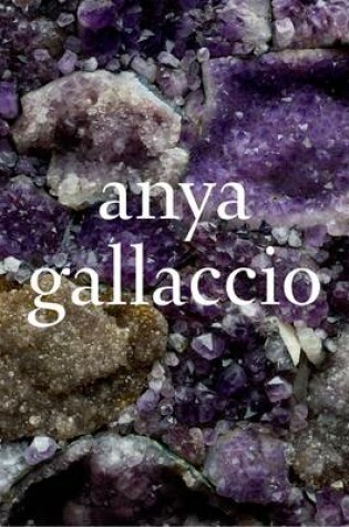 Cover of Anya Gallaccio