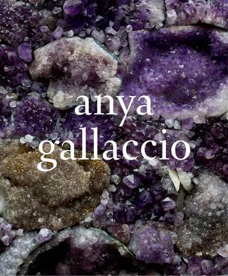 Book cover for Anya Gallaccio