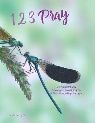 Book cover for 123 Pray