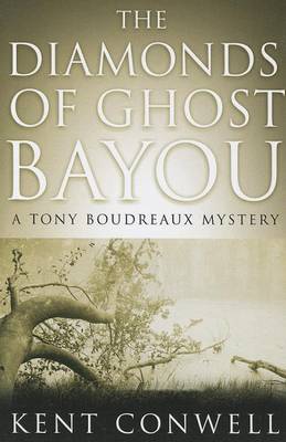 Book cover for The Diamonds of Ghost Bayou