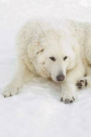 Cover of The Kuvasz Dog Journal