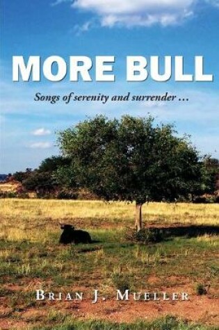 Cover of More Bull