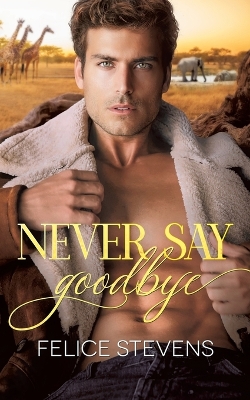 Book cover for Never Say Goodbye