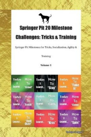 Cover of Springer Pit 20 Milestone Challenges