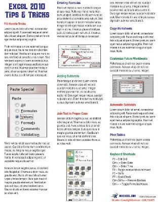 Book cover for Excel 2010 Laminated Tip Card