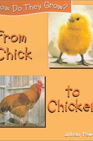 Cover of From Chick to Chicken