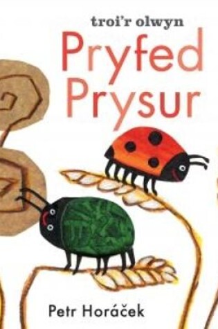 Cover of Pryfed Prysur