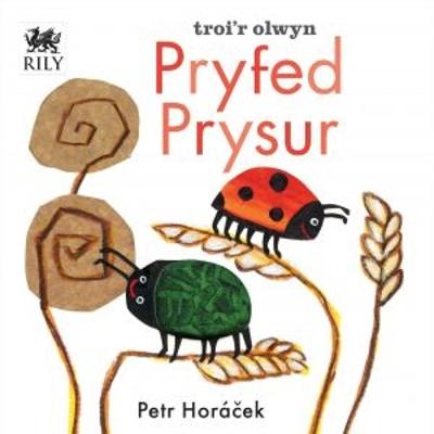 Book cover for Pryfed Prysur