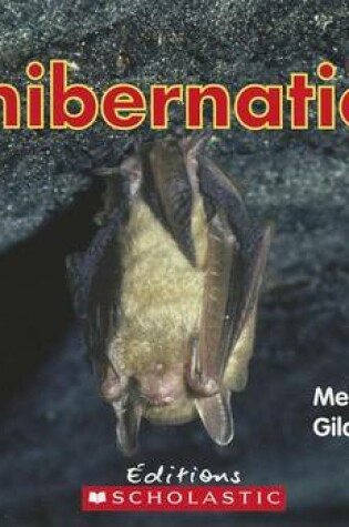 Cover of L' Hibernation