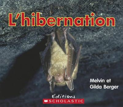 Cover of L' Hibernation