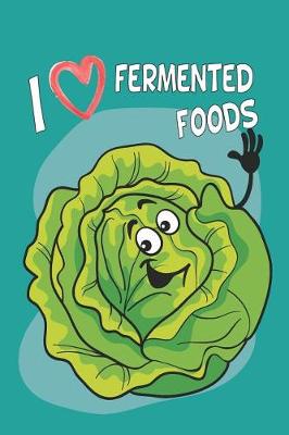 Book cover for Fermented Recipe Book