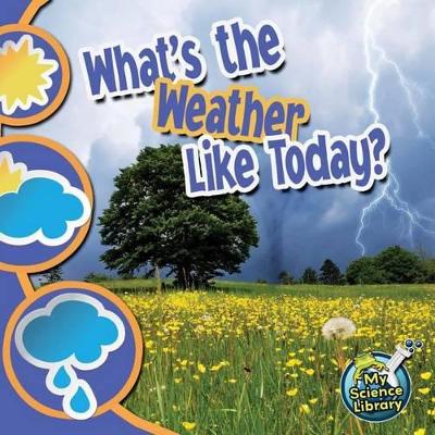 Cover of What's the Weather Like Today?