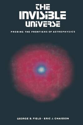 Book cover for The Invisible Universe