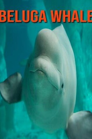 Cover of Beluga Whale