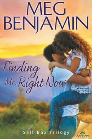 Cover of Finding Mr. Right Now