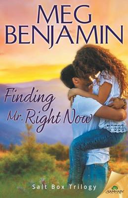 Cover of Finding Mr. Right Now