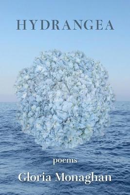 Book cover for Hydrangea