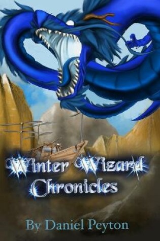 Cover of The Winter Wizard