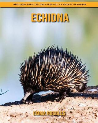 Book cover for Echidna