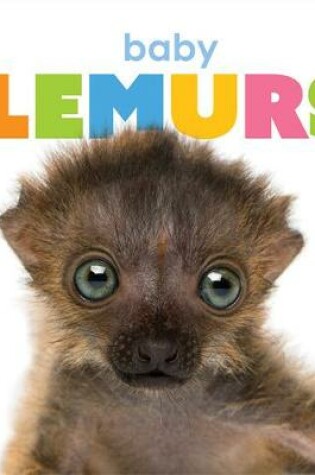 Cover of Baby Lemurs