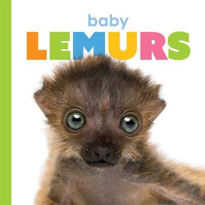 Book cover for Baby Lemurs