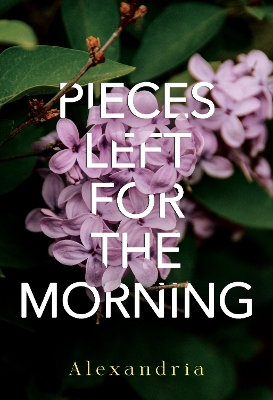 Book cover for Pieces Left for the Morning