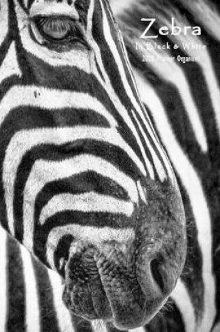 Cover of Zebra in Black & White 2020 Planner