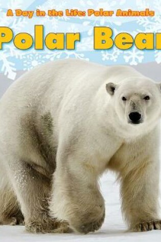 Cover of Polar Bear