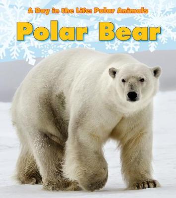 Cover of Polar Bear