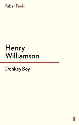 Book cover for Donkey Boy