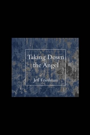 Cover of Taking Down the Angel