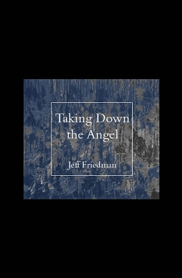 Book cover for Taking Down the Angel