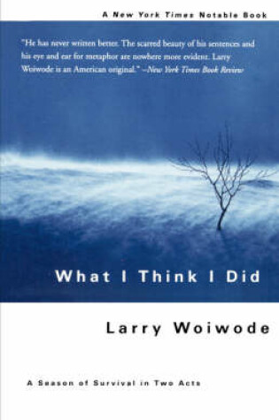 Cover of What I Think I Did