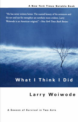 Book cover for What I Think I Did