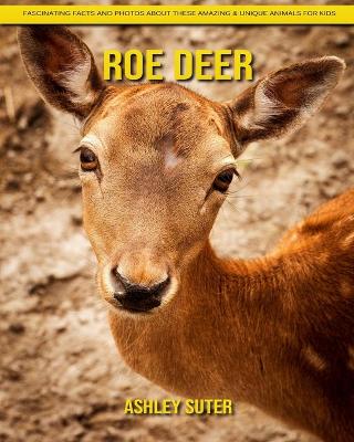 Book cover for Roe deer