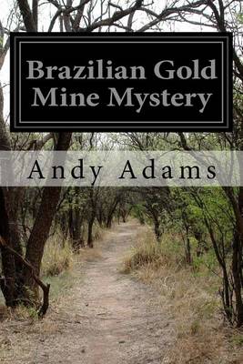 Book cover for Brazilian Gold Mine Mystery