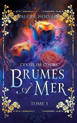 Cover of Brumes à Mer, Tome 3