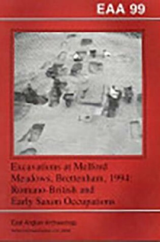 Cover of EAA 99: Excavations at Melford Meadows, Brettenham, 1994