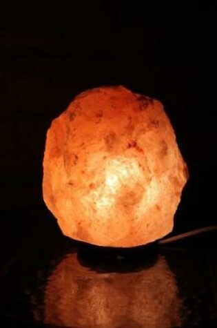 Cover of Himalayan Salt Lamp Journal