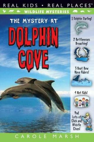 Cover of The Mystery at Dolphin Cove