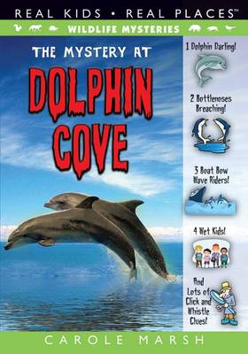 Book cover for The Mystery at Dolphin Cove