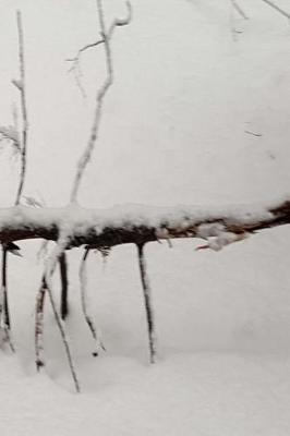 Cover of Winter Journal Snow Covered Branch