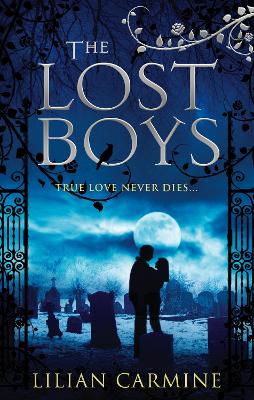 Cover of The Lost Boys