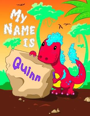 Book cover for My Name is Quinn