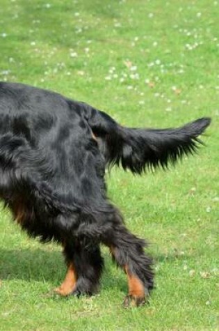 Cover of Gordon Setter