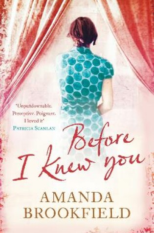 Cover of Before I Knew You