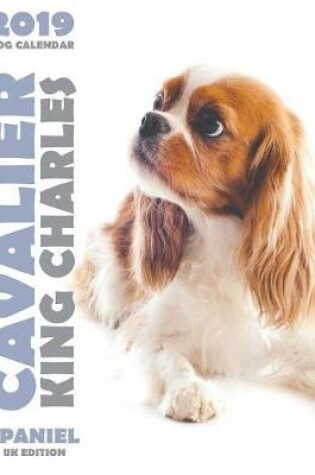 Cover of Cavalier King Charles Spaniel 2019 Dog Calendar (UK Edition)