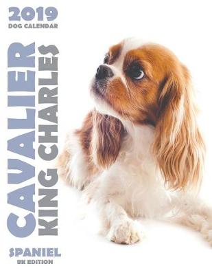 Cover of Cavalier King Charles Spaniel 2019 Dog Calendar (UK Edition)