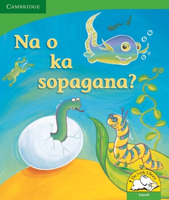 Book cover for Na o ka sopagana? (Sepedi)