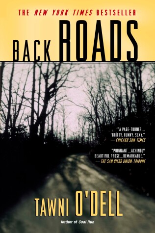 Book cover for Back Roads